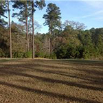 Gulf course view from the back